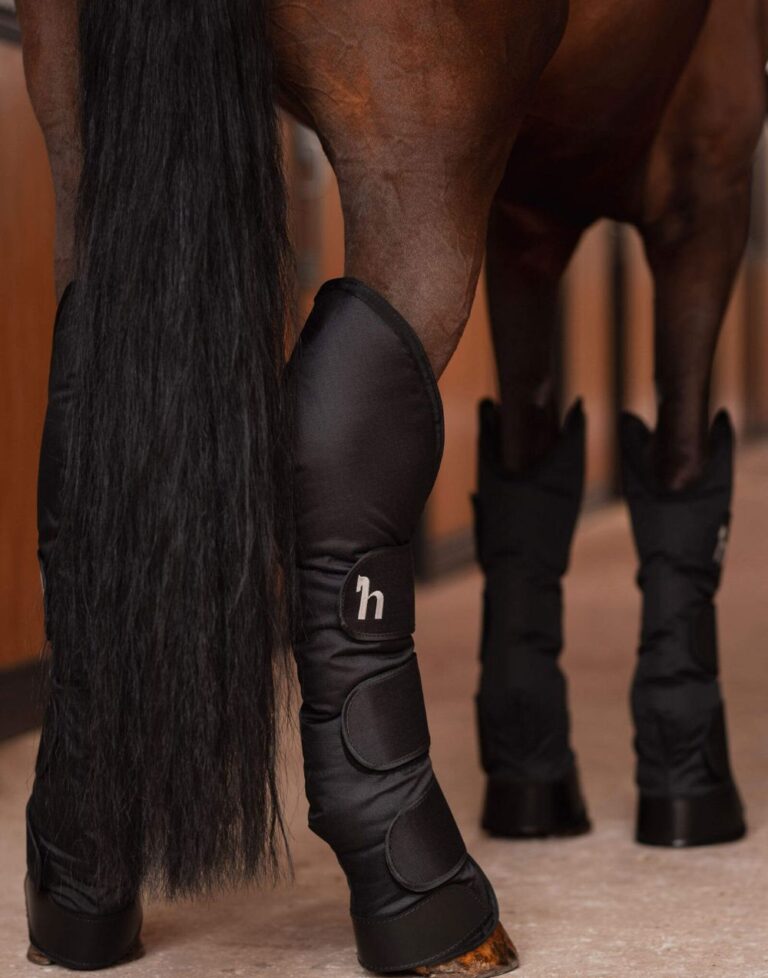 Horse wearing protective transport boots