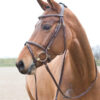 High quality fine design leather padded bridle with stitching design, adjustable and comes with matching reins