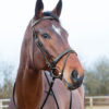 Venice horse Bridle