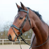 Venice horse Bridle