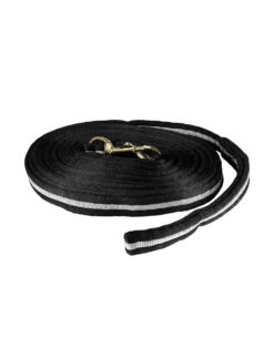 Soft durable webbed lunging reins with clip