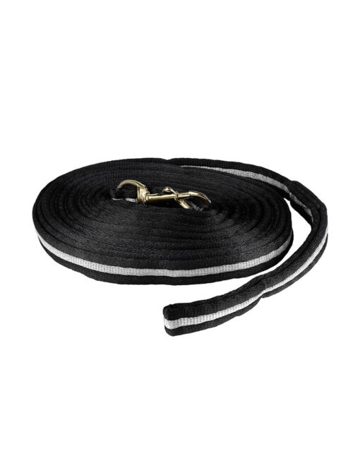 Orbit Lunging Line