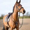 Quality adjustable leather breastplate with running martingale attachment that can be detached if needed. Stitching design