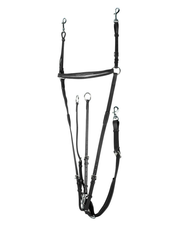Venice Combined Martingale