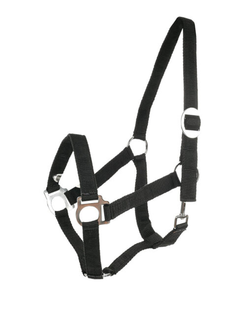 Basic Halter