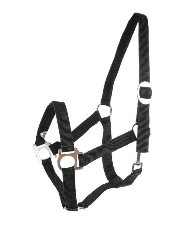 Basic Halter