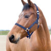 Basic soft nylon webbing halter with metal fittings. Adjustable at the headpiece with a snap closure under the cheek
