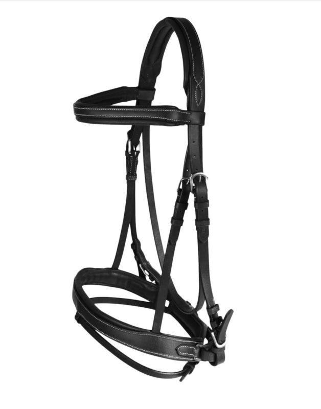 Venice horse Bridle