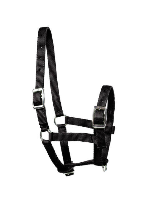 Foal Halter