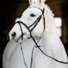 Pony Bridle - Image 2