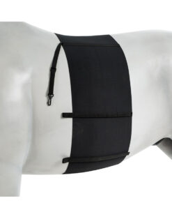 Elastic belly guard