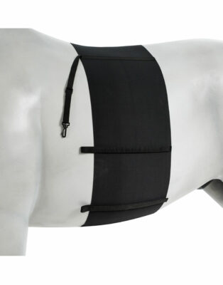 Elastic belly guard