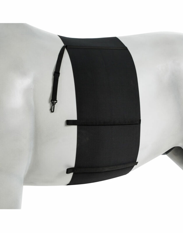 Elastic belly guard