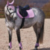 Adepto Allround Saddlepad