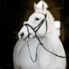 Pony Bridle