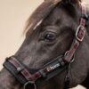 Cairo Infra-red Halter
