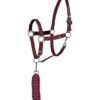 Chicago Halter & Lead Set