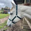 Equivia Adjustable Halter