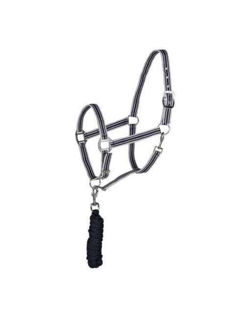 Glarus Halter and Lead Rope
