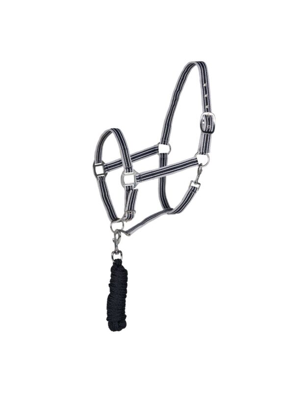 Glarus Halter & Lead Rope
