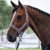 Glarus Halter & Lead Rope