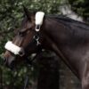 Laurier Halter with Sheepskin