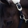 Laurier Halter with Sheepskin