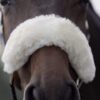 Laurier Halter with Sheepskin
