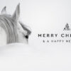 Horze Gift Card