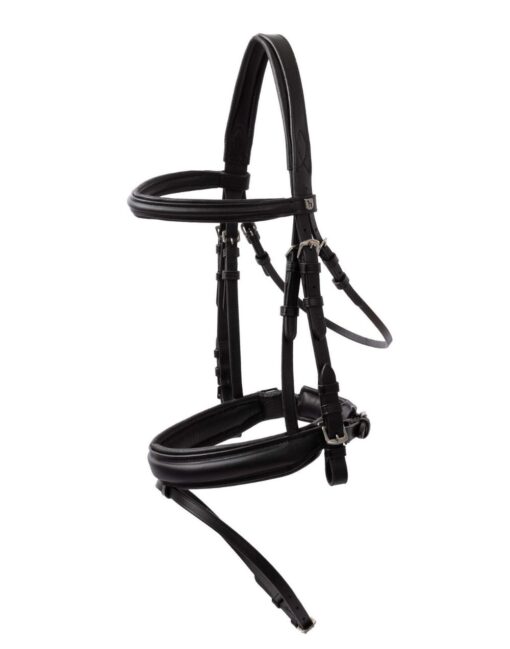 Eternal Gaze Dressage Bridle