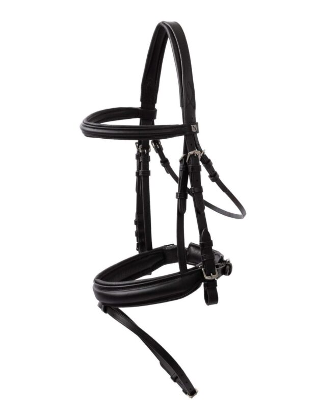 Eternal Gaze Dressage Bridle
