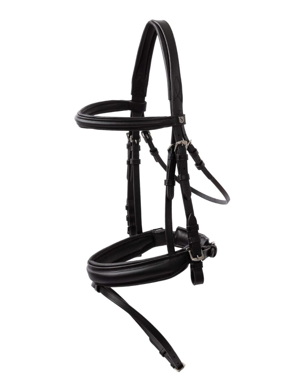 Eternal Gaze Dressage Bridle