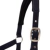 Eternal Gaze Halter Set