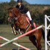 Atlanta Stud Guard Girth with pile lining