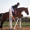 Atlanta Stud Guard Girth with pile lining