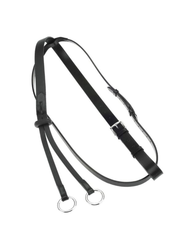 Leather Martingale