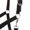 Pegasus Pony halter set