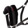 Pegasus Pony halter set