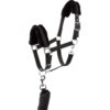 Pegasus Pony halter set
