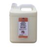 AHFS Insect Spray 5L