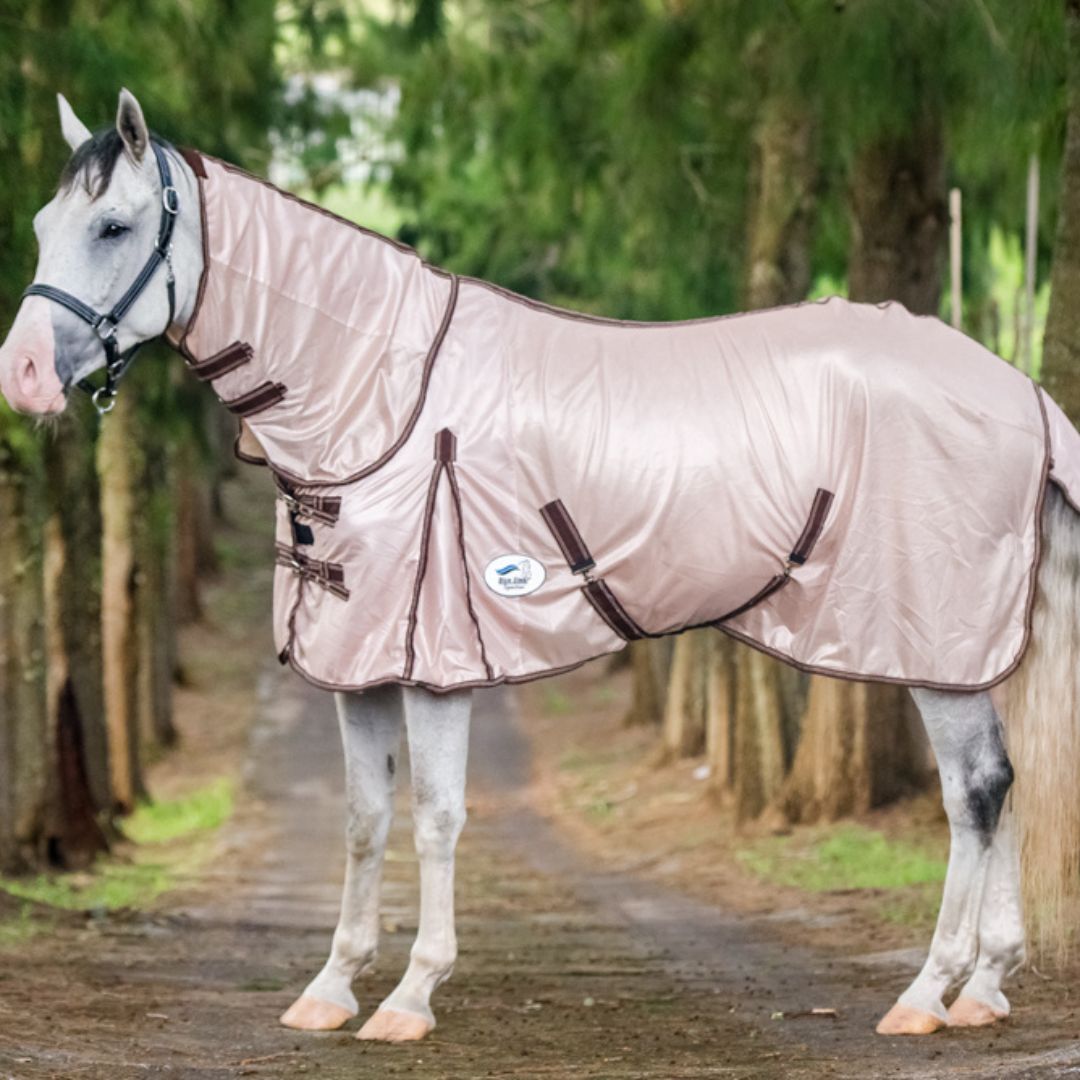 Budget Fly Sheet