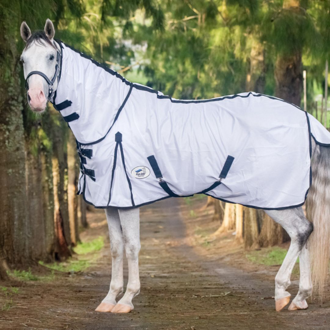 Fly Sheet