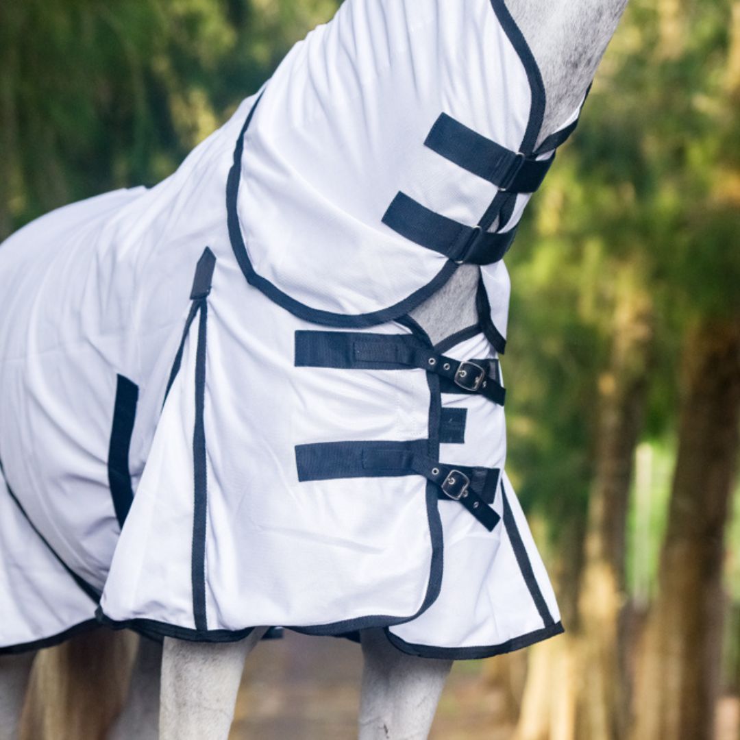 Fly Sheet