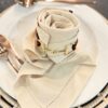 Snaffle Napkin Ties