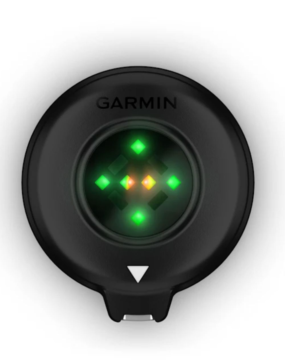 Garmin Blaze Equine Wellness System