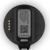 Garmin Blaze Equine Wellness System