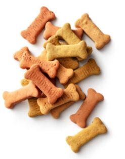 Gluten Free Dog Treats