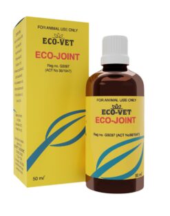 Eco-Joint Mobility Support for Horses