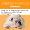 Herbal Pet Allergy Formula