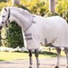 Amigo Bug Rug Pony